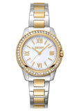 DKNY EVENING CRYSTAL SET MOTHER OF PEARL DIAL TWO-TONE DK1L105M0085