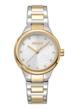 DKNY EVERYDAY SILVER DIAL TWO-TONE BRACELET DK1L110M0075